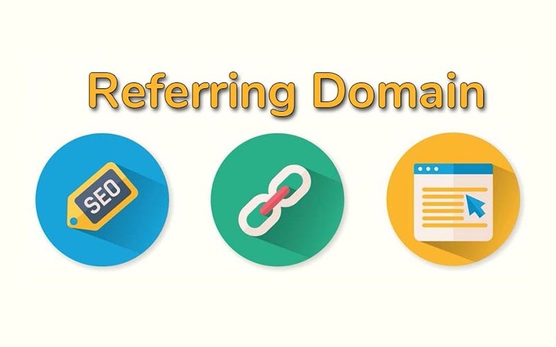 vai trò của referring domain