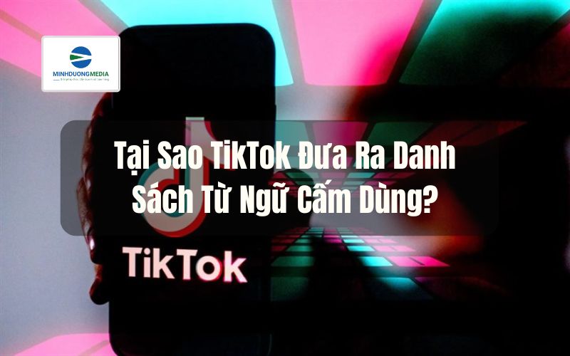 Tại Sao TikTok Đưa Ra Danh Sách Từ Ngữ Cấm Dùng?