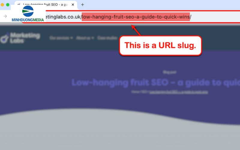 slug trong web là gì bạn cần lưu ý