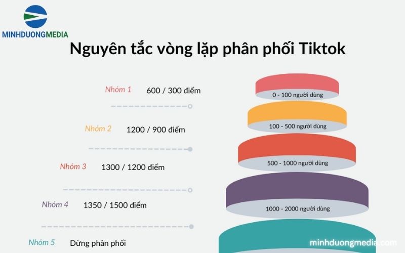 Nội dung trên TikTok được phân phối theo nguyên tắc nào?