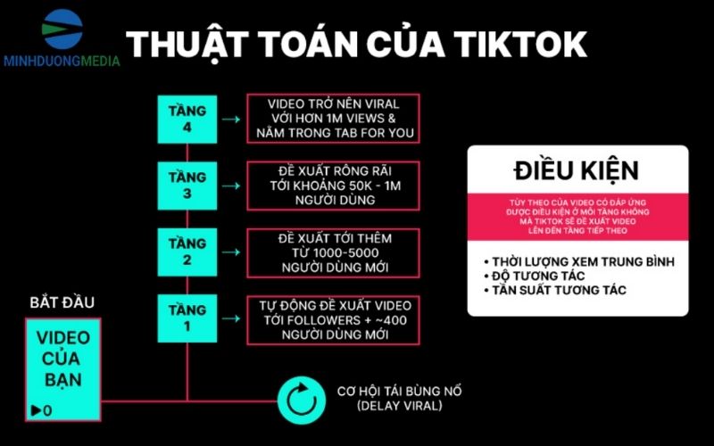 Thuật toán TikTok hoạt động như thế nào
